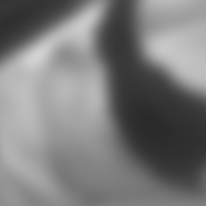 rencontre-Cougar-Lille