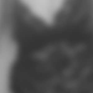 rencontre-Cougar-Quimper