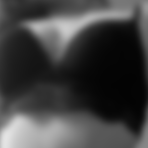 rencontre-Cougar-Thionville