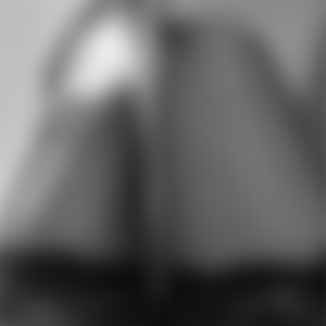 rencontre-Cougar-Toulon